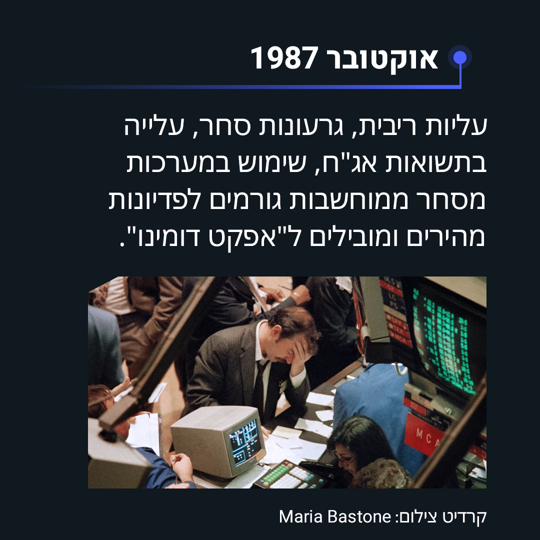 תמונה 3