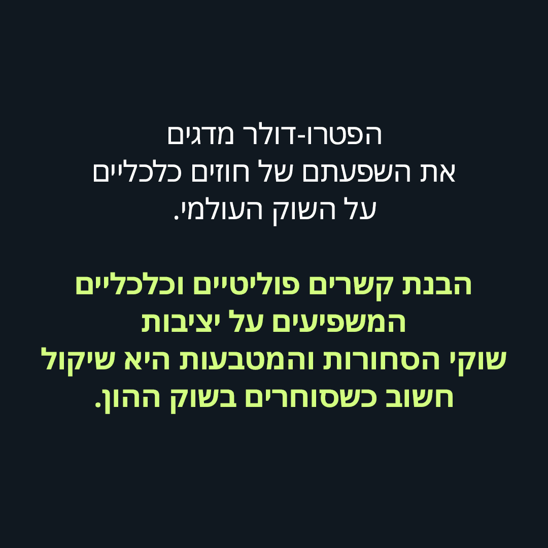 תמונה 6