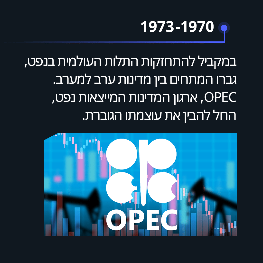 תמונה 3